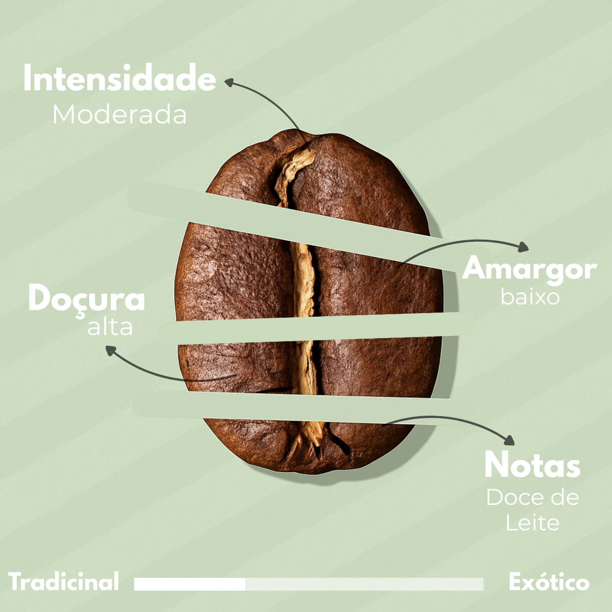 KIT CAFÉ ESPECIAL - 4 PACOTES 250G (1KG) - DOCE DE LEITE / BLUEBERRY