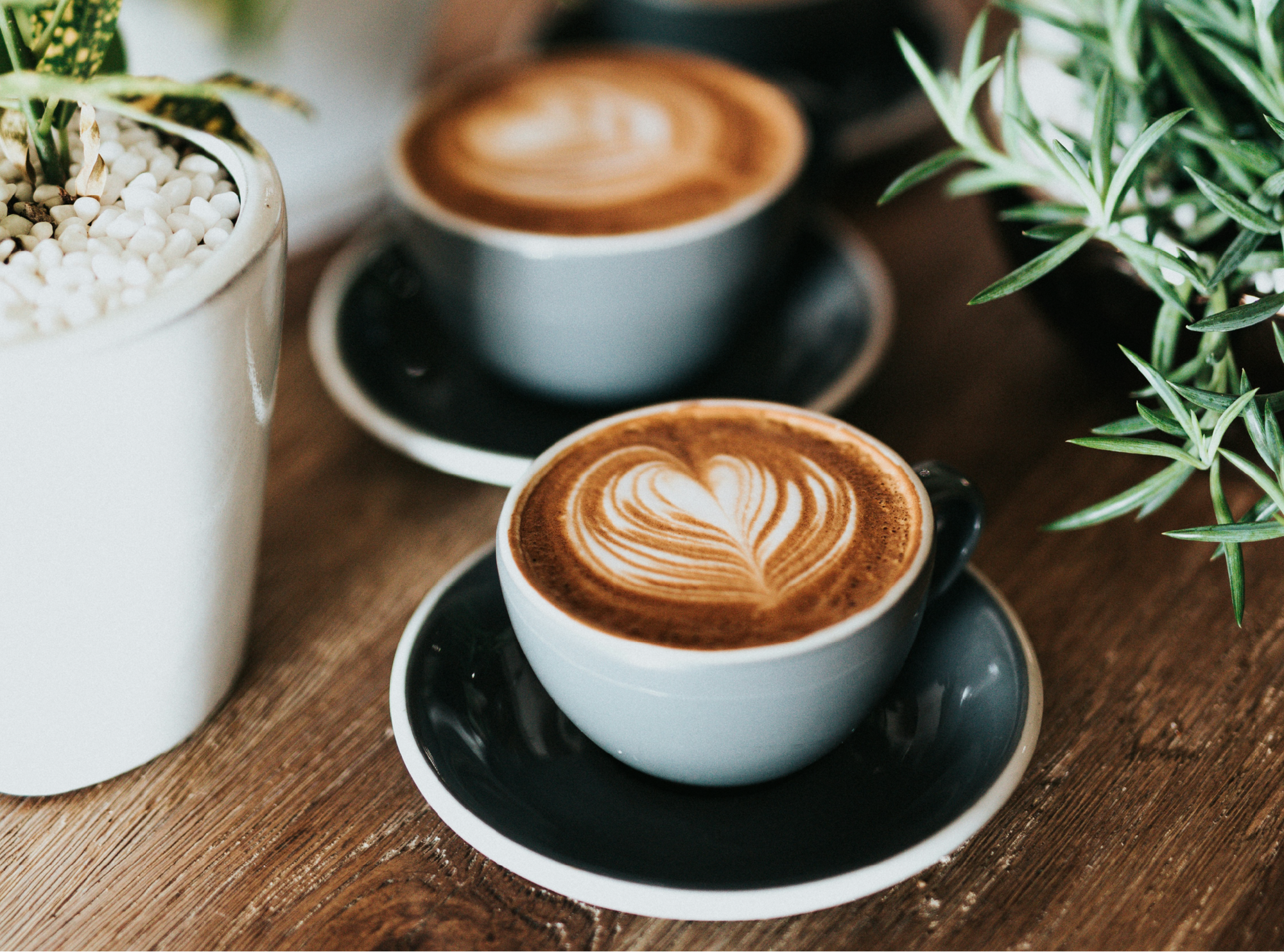 ☕ O que é café especial?