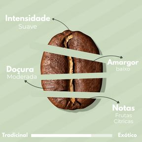 CÁPSULA - CAFÉ ESPECIAL - FRUTADO CÍTRICO - CAIXA COM 10 CÁPSULAS