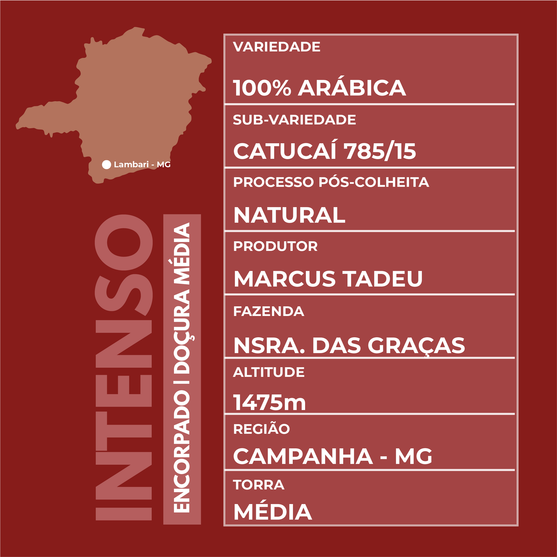 Café Especial 750g Intenso e Marcante Kit 3 pacotes 250g