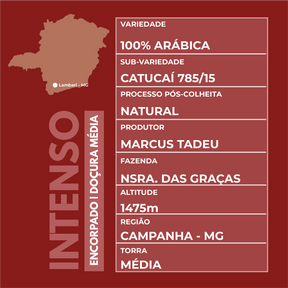 Café Especial 750g Intenso e Marcante Kit 3 pacotes 250g