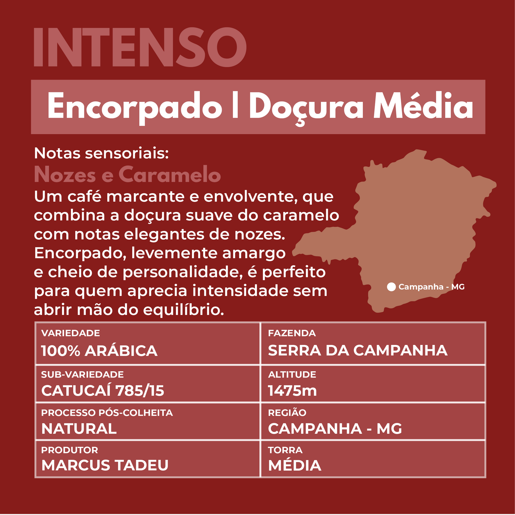 Kit Degustação café especial 3 Pacotes 250g