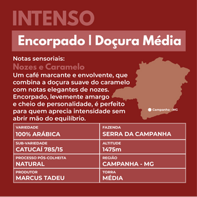 Kit Degustação café especial 3 Pacotes 250g